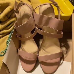 Chunky Heel Pink Sandals with Wide Straps